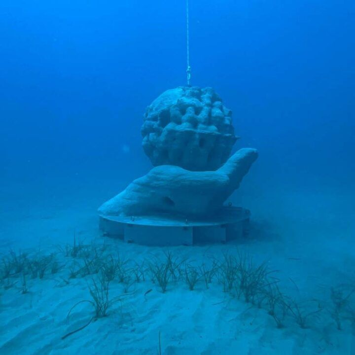 Bogliasco BLU - Posidonia ART Reef
